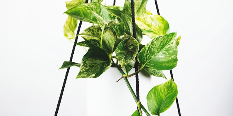 VSport平台高清多路直播信号控制室实景